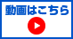 動画はこちら